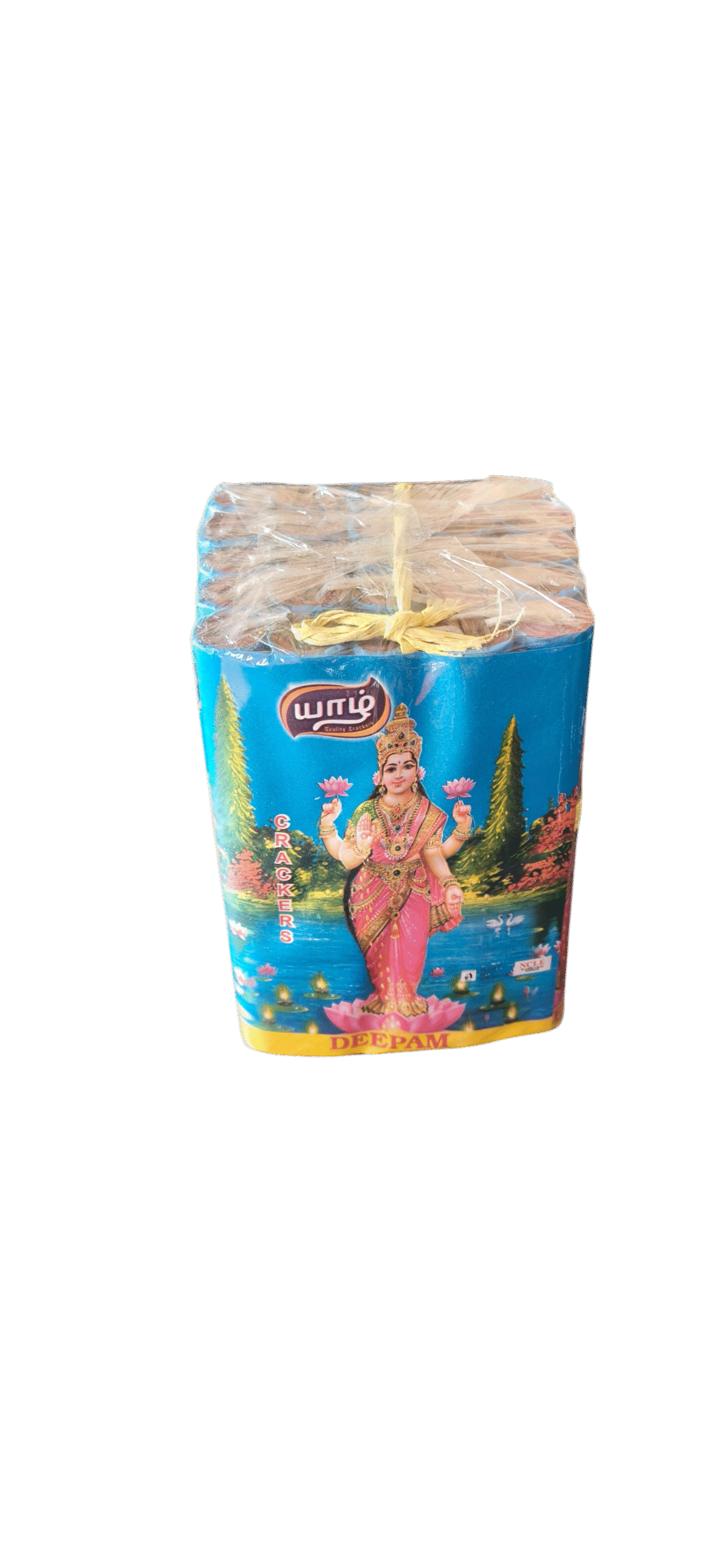 4_ Lakshmi normal